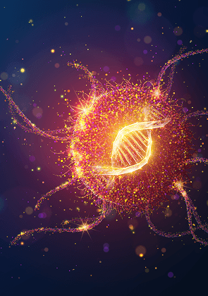 Bridging primary care and genetics: Hereditary cancer testing explained